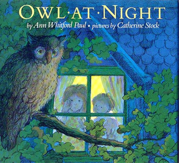Owl At Night Picture Book