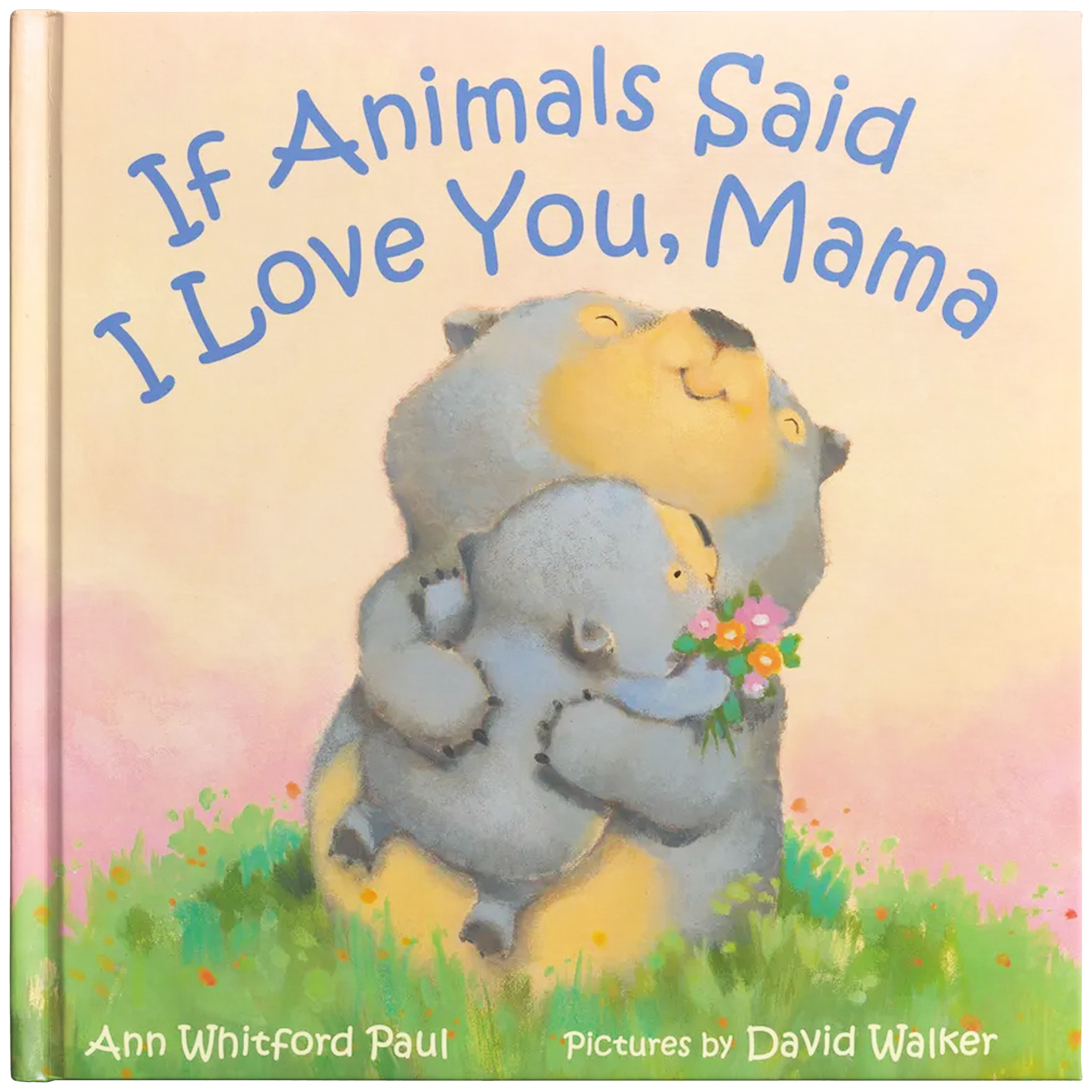 If Animals Went to School by Ann Whitford Paul